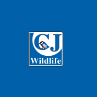 storeLogo