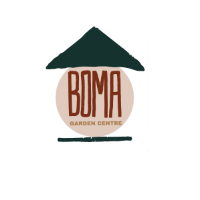 storeLogo