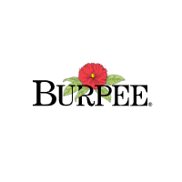 storeLogo