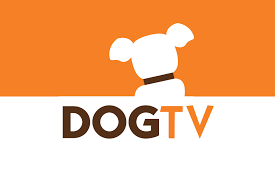 storeLogo