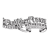 storeLogo