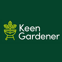 storeLogo