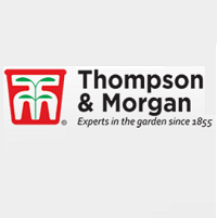 storeLogo