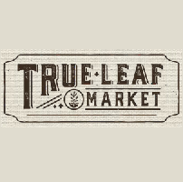 storeLogo