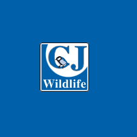 storeLogo